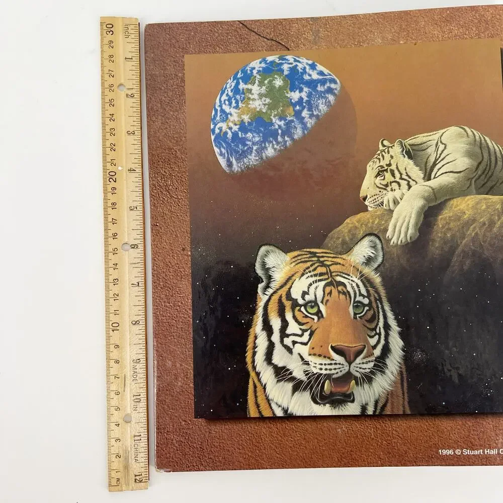 90s Stuart Hall tiger conservation 3 ring binder 1990s vintage